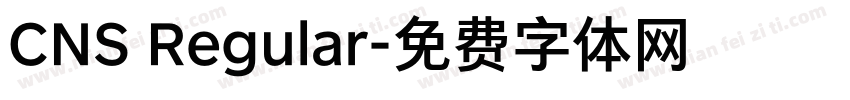 CNS Regular字体转换